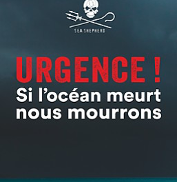 Coup de coeur Librairie : Urgence ! Si l’océan meurt, nous mourrons !